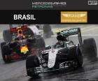 Nico Rosberg, druhý v Grand Prix Brazílie 2016, s jeho Red Bull. Předposlední závod roku