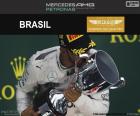 Lewis Hamilton, Grand Prix Brazílie 2016