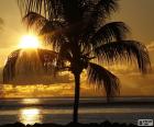 Západ slunce, Palm