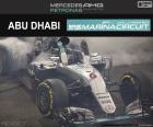 Nico Rosberg, druhý v Grand Prix Abú Zabí 2016, s jeho Red Bull. Vítěz šampionátu v posledním závodě