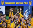 UANL Tigres, Apertura 2016