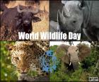 Světový den divoké zvěře