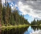 Lake Irene, Spojené státy