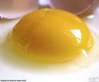 Vaječný žloutek