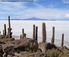 Salar de Uyuni, Bolívie