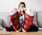 Ponožky s vánoční sob