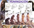Proces hominizace
