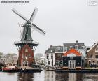 Adriaan Mill, Haarlem, Nizozemsko