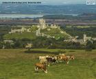 Hrad Corfe, Anglie