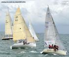 Regata plachetnice