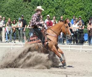 Puzle Reining - westernové ježdění - Ride Cowboy