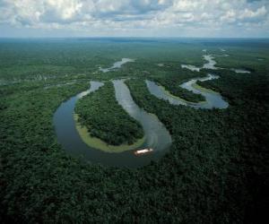 Puzle Rio Amazonas, v areálu ochrany střední Amazonie, Brazílie