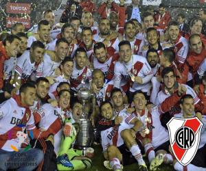 Puzle River Plate, Copa Libertadores 2015