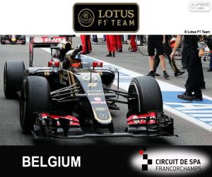 Puzle Romain Grosjean, 2015 Grand Prix Belgie