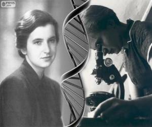 Puzle Rosalind Franklinová (1920-1958), průkopníkem v oblasti výzkumu DNA