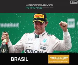 Puzle Rosberg 2015 Grand Prix Brazílie