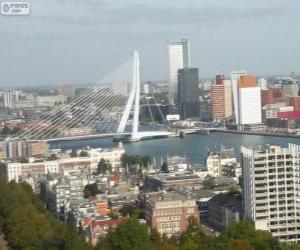 Puzle Rotterdam, Nizozemsko
