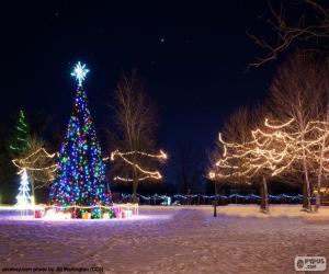 Puzle Rozsvícené vánoční stromky