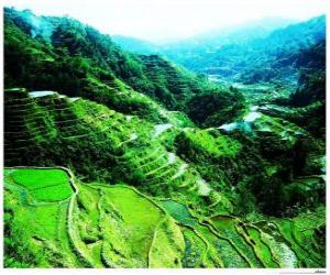 Puzle Rýžové terasy Filipínské Kordillery