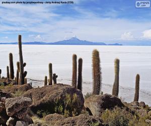 Puzle Salar de Uyuni, Bolívie