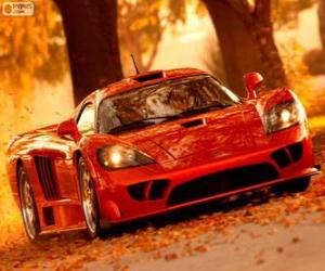 Puzle Saleen S7 Twin Turbo