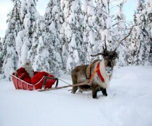 Puzle Santa Claus v jeho saních se soby na sněhu