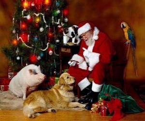 Puzle Santa krmení některých zvířat