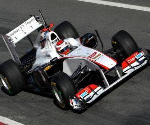 Puzle Sauber C30 - 2011 -