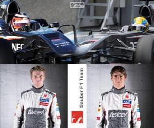 Puzle Sauber F1 Team 2013