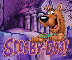 Puzle Scooby Doo s logem