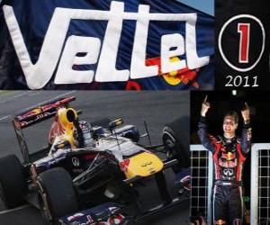 Puzle Sebastian Vettel, mistr světa Formule 1 2011 se Red Bull Racing, je nejmladší mistr světa