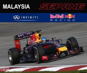 Puzle Sebastian Vettel - Red Bull - Grand Prix Malajsie 2014, 3 klasifikované