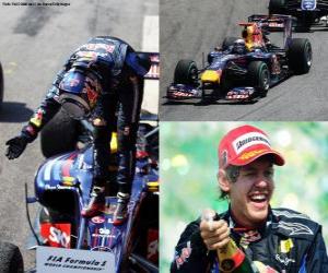 Puzle Sebastian Vettel slaví vítězství na Grand Prix Brazílie (2010)