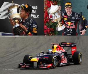 Puzle Sebastian Vettel slaví vítězství v Grand Prix Bahrajnu (2012)