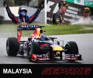 Puzle Sebastian Vettel slaví vítězství v Grand Prix Malajsie 2013