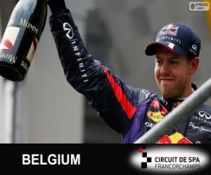 Puzle Sebastian Vettel slaví vítězství v Grand Prix Belgie 2013