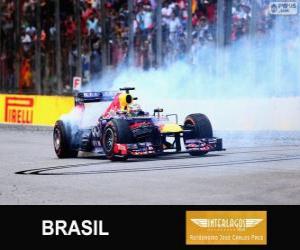 Puzle Sebastian Vettel slaví vítězství v Grand Prix Brazílie 2013