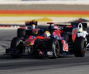 Puzle Sebastien Buemi - Toro Rosso - Bahrajn 2010