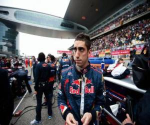 Puzle Sebastien Buemi - Toro Rosso - Shanghai 2010