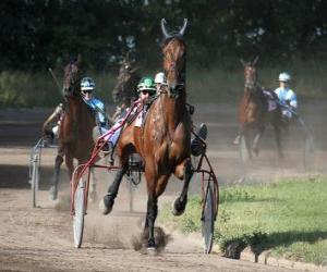 Puzle Sedačka racing