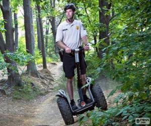 Puzle Segway