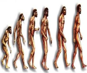 Puzle Sekvence lidské evoluce od Australopithecus Lucy moderní člověk procházející mezi jinými muži v Heidelbergu, Peking, neandrtálský a Cromagnon