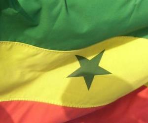Puzle Senegalská vlajka