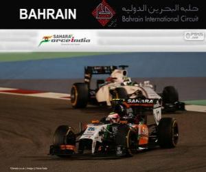 Puzle Sergio Perez - Force India - 2014 Grand Prix Bahrajnu, 3 klasifikované