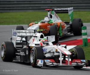 Puzle Sergio Perez - Sauber - Sepang 2011
