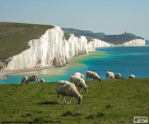 Puzle Seven Sisters, Anglie