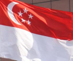 Puzle Singapurská vlajka