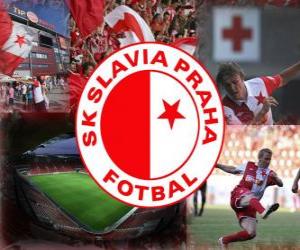 Puzle SK Slavia Praha, Česká fotbalová reprezentace