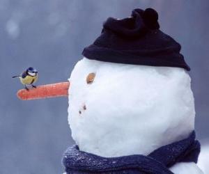 Puzle Sněhulák s ptákem na nos