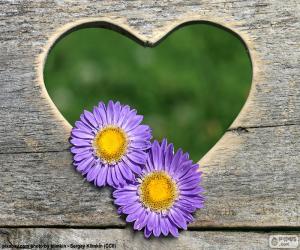 Puzle Srdce a dvě květiny